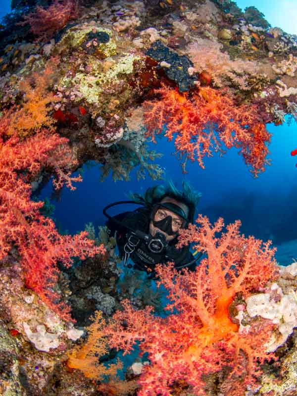 Diving Maldives
