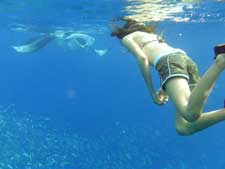 Snorkeling Maldives with a manta