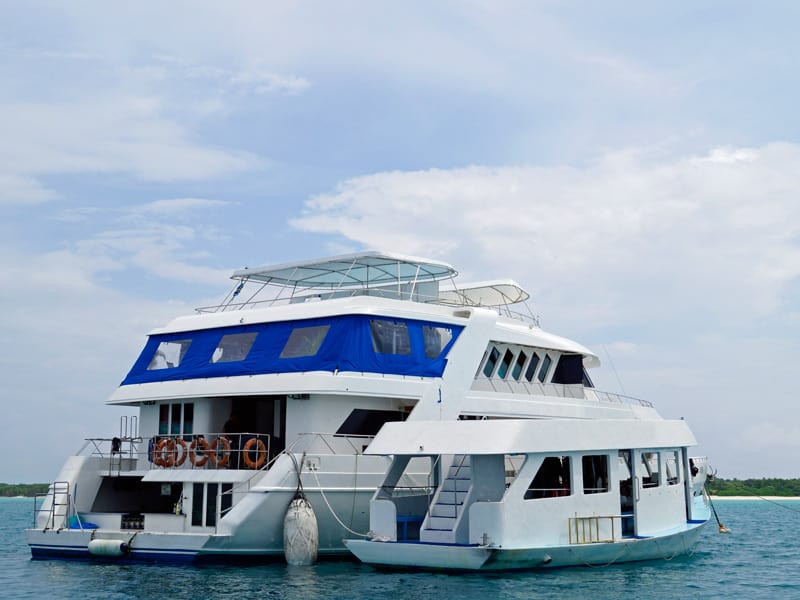 Amba Maldives Stern Diving Cruise