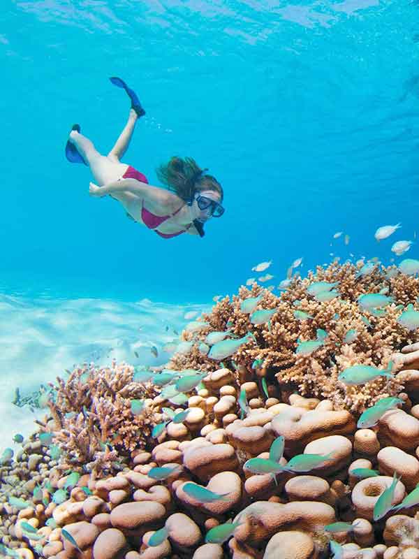 Snorkeling Maldives reef 2 meters deep