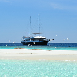 Super dive cruise Gurahali Maldives