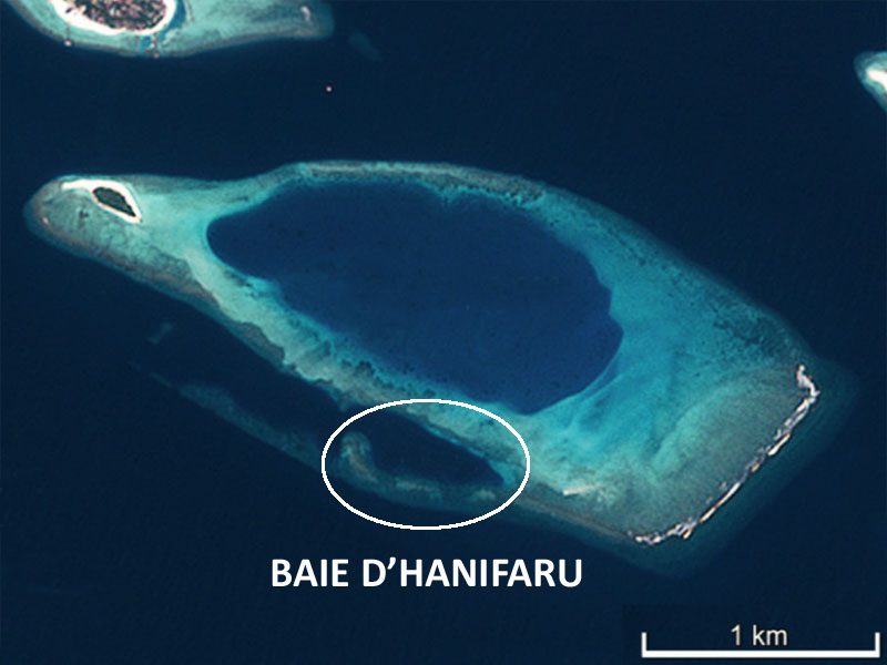 Baie d'Hanifaru vue satellite