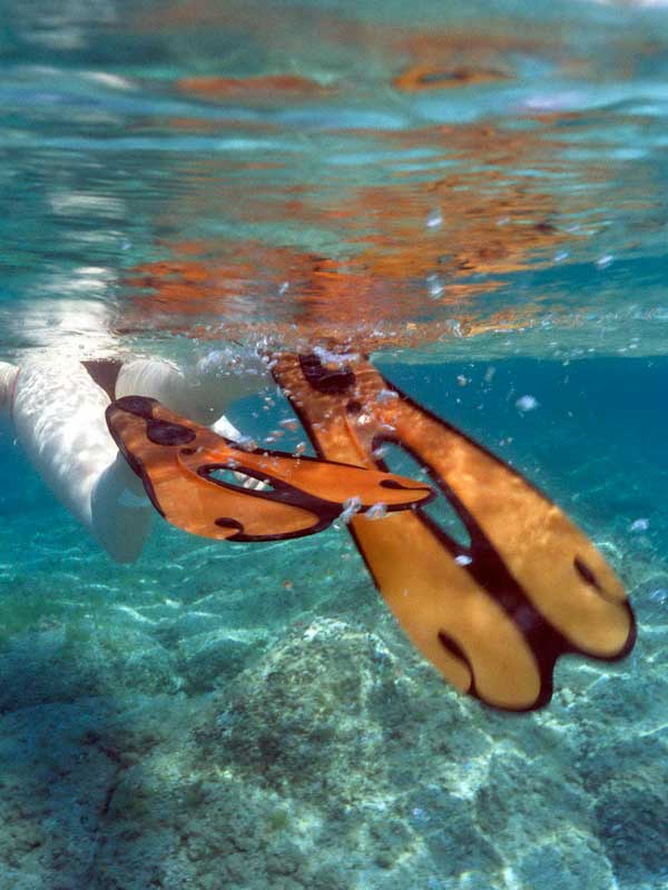 Palmes snorkeling à voilure ajourée