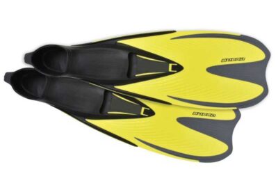 Snorkeling equipment: fins