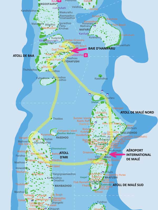 Itinéraire Croisière Snorkeling Maldives Hanifaru